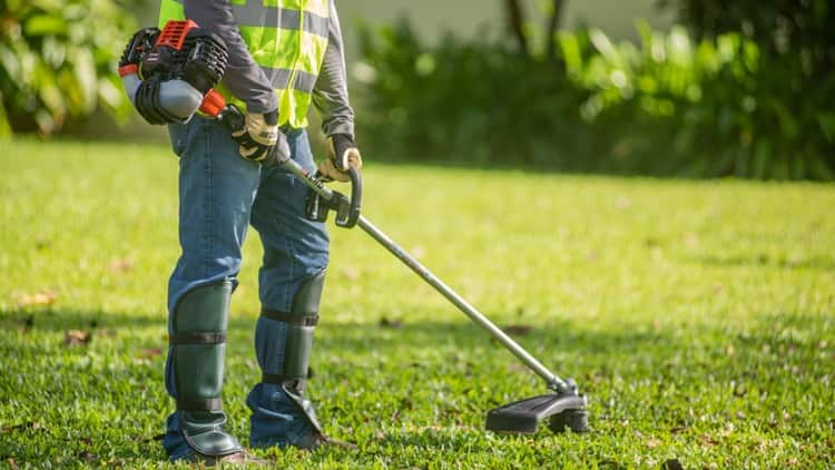 Garden weed online eater